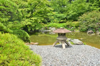 DSC_3354 (Large).JPG